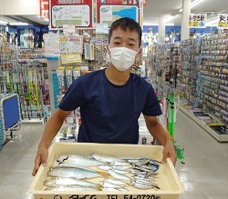 岡山県でサビキ釣り