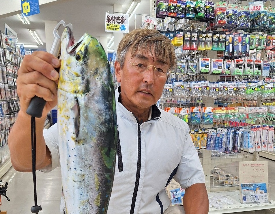 小豆島で釣れたシイラ