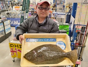 しまなみ大島で釣ったヒラメ