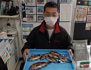 メバル