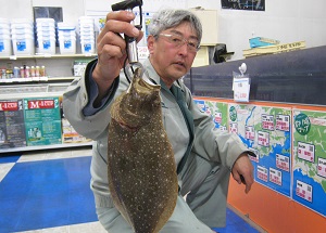 船からのヒラメ